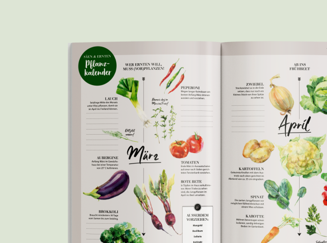 Von twotype design gestalteter Pflanzkalender im Deine Natur Magazin von Dehner aus dem Frühling 2023