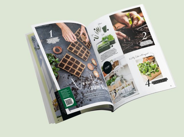 Artikel "Vom Korn zum Blatt" im Deine Natur Kundenmagazin von Dehner aus dem Frühling 2023