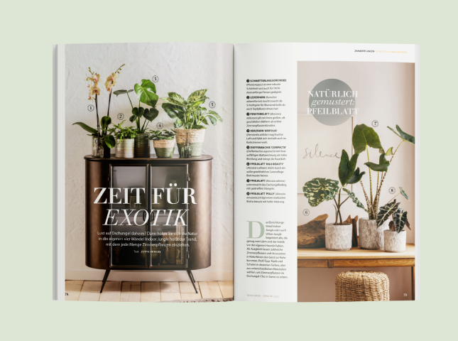 Artikel "Zeit für Exotik" im Deine Natur Magazin von Dehner