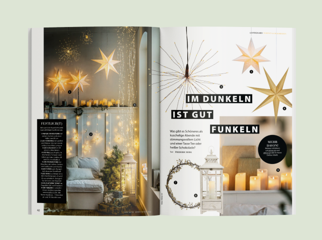 Artikel "Im Dunkeln ist gut funkeln" im Deine Natur Magazin von Dehner