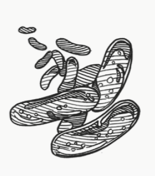 Eine Illustration aus dem Magazin für das Apothekerkammer Niedersachsen Jubiläum